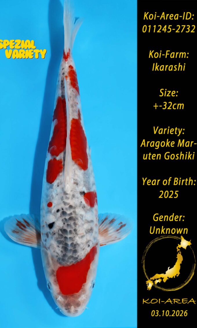 Tateshita 011245-2732