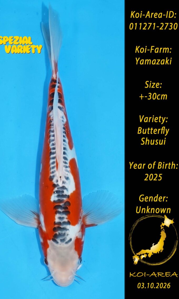 Tateshita 011271-2730