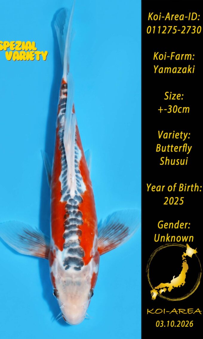 Tateshita 011275-2730