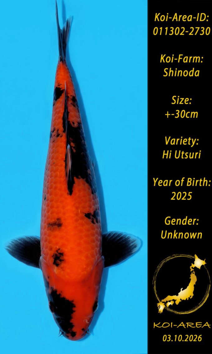 011302-2730