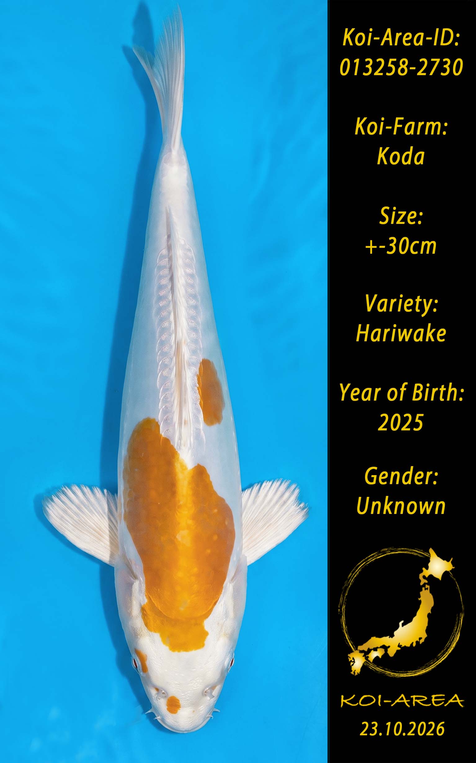 013258-2730