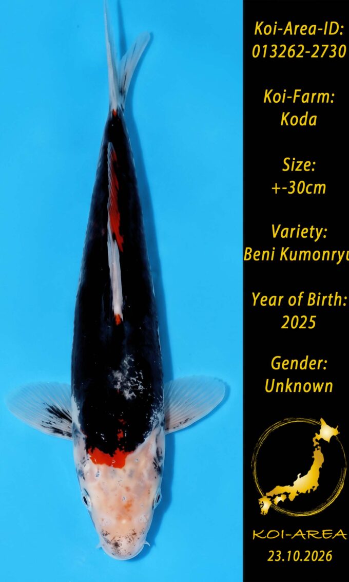 013262-2730
