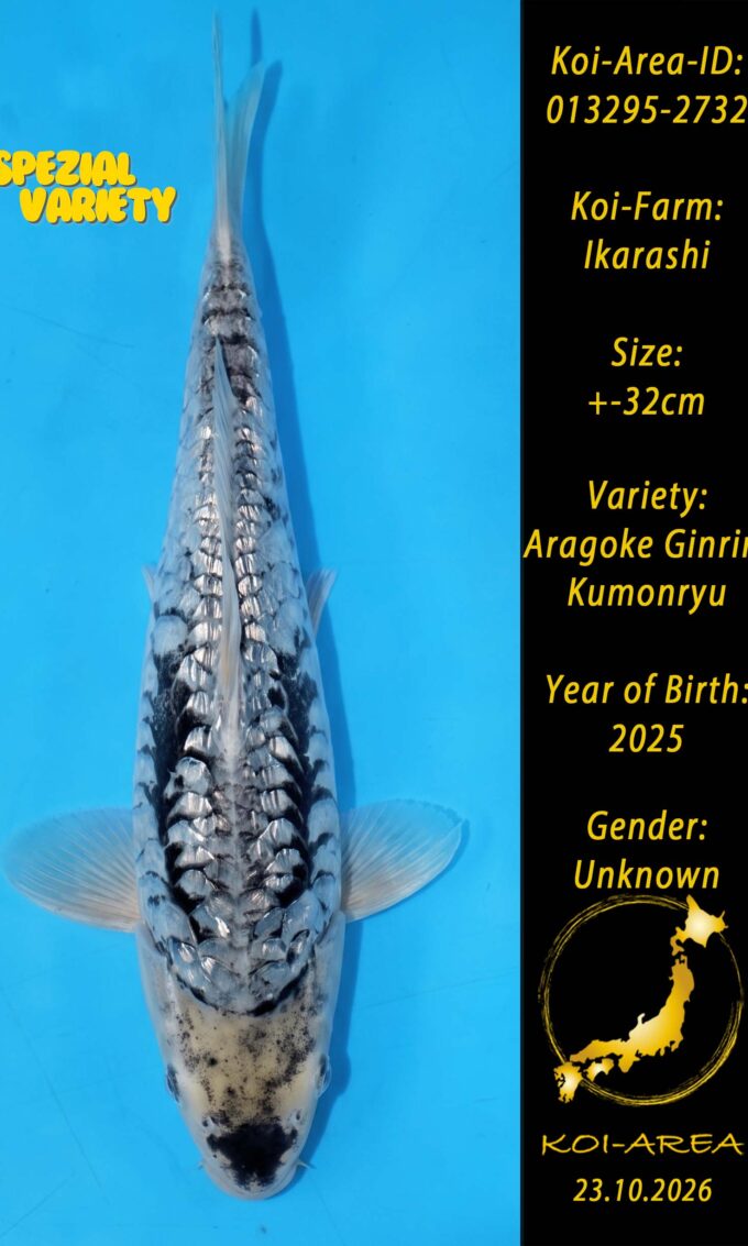 013295-2732