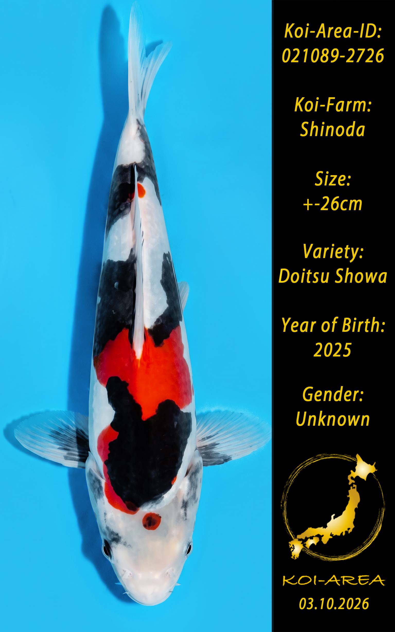 Tateshita 021089-2726