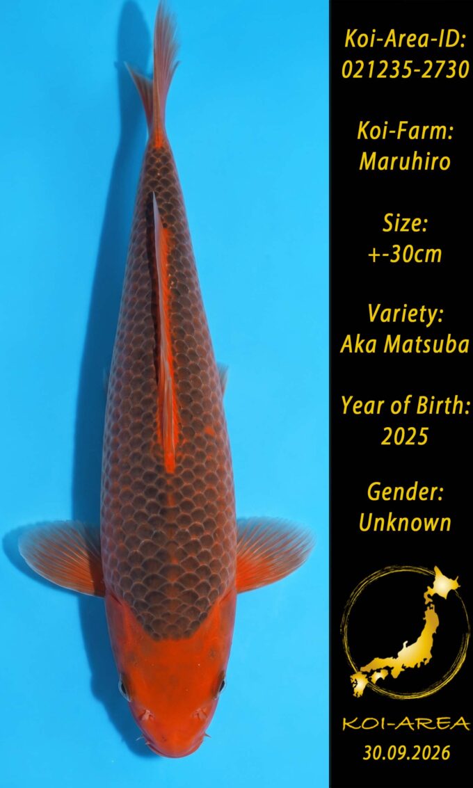 021235-2730