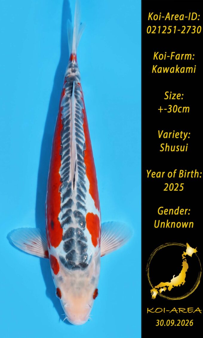 021251-2730