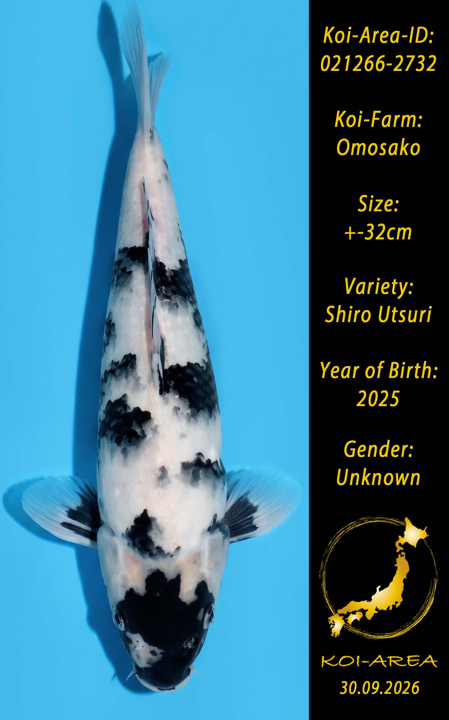 Tateshita 021266-2732