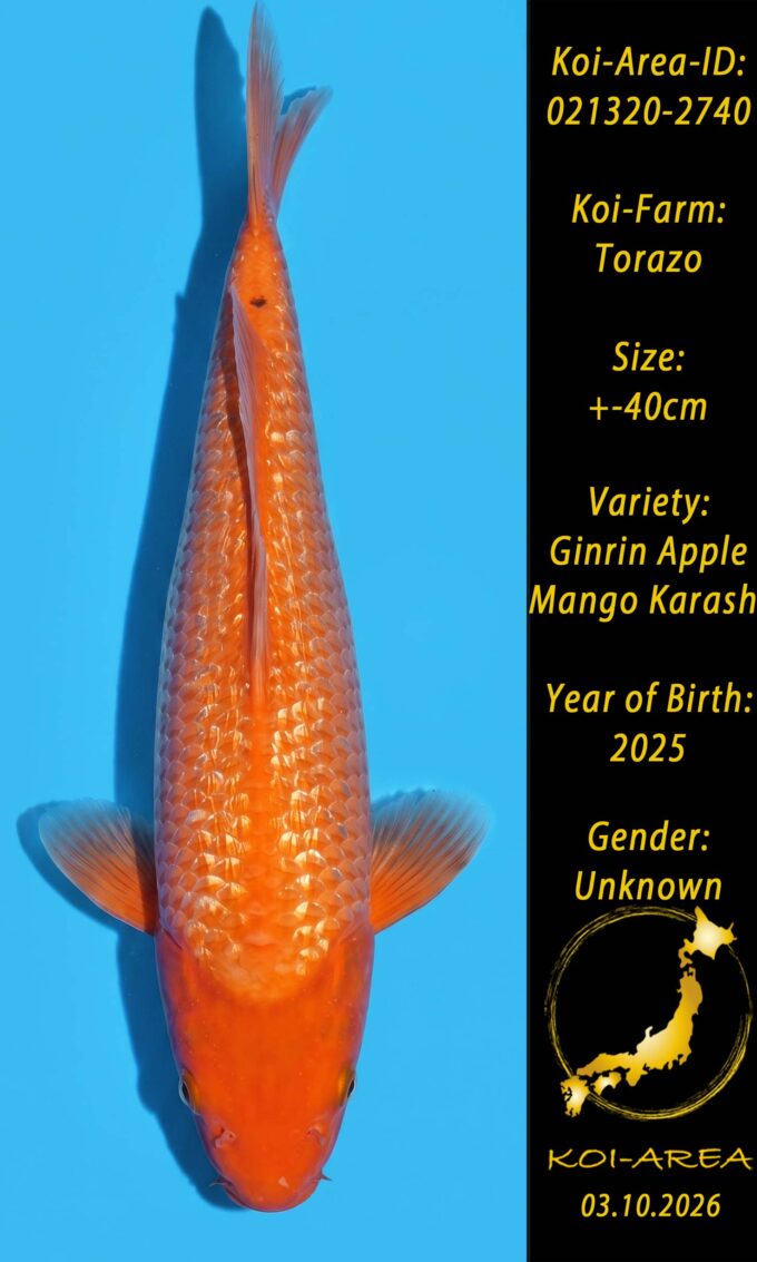 021320-2740