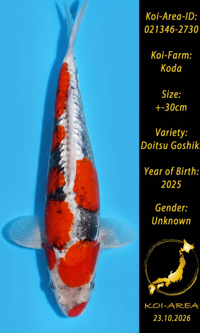021346-2730