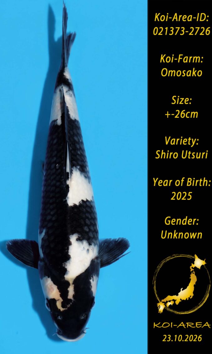 Tateshita 021373-2726