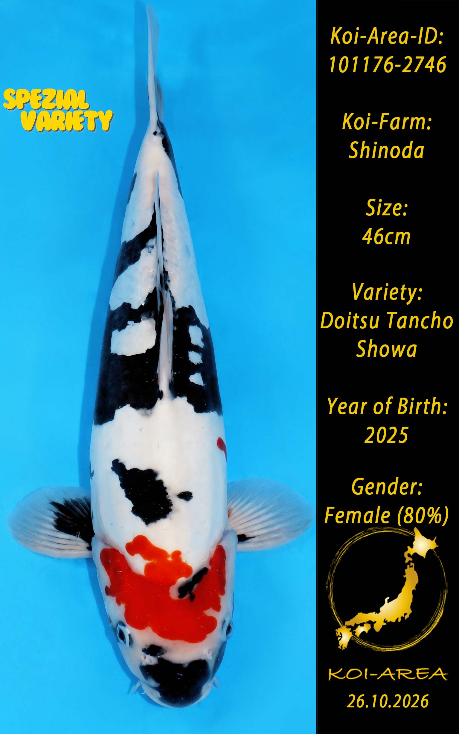 Tateshita 101176-2746