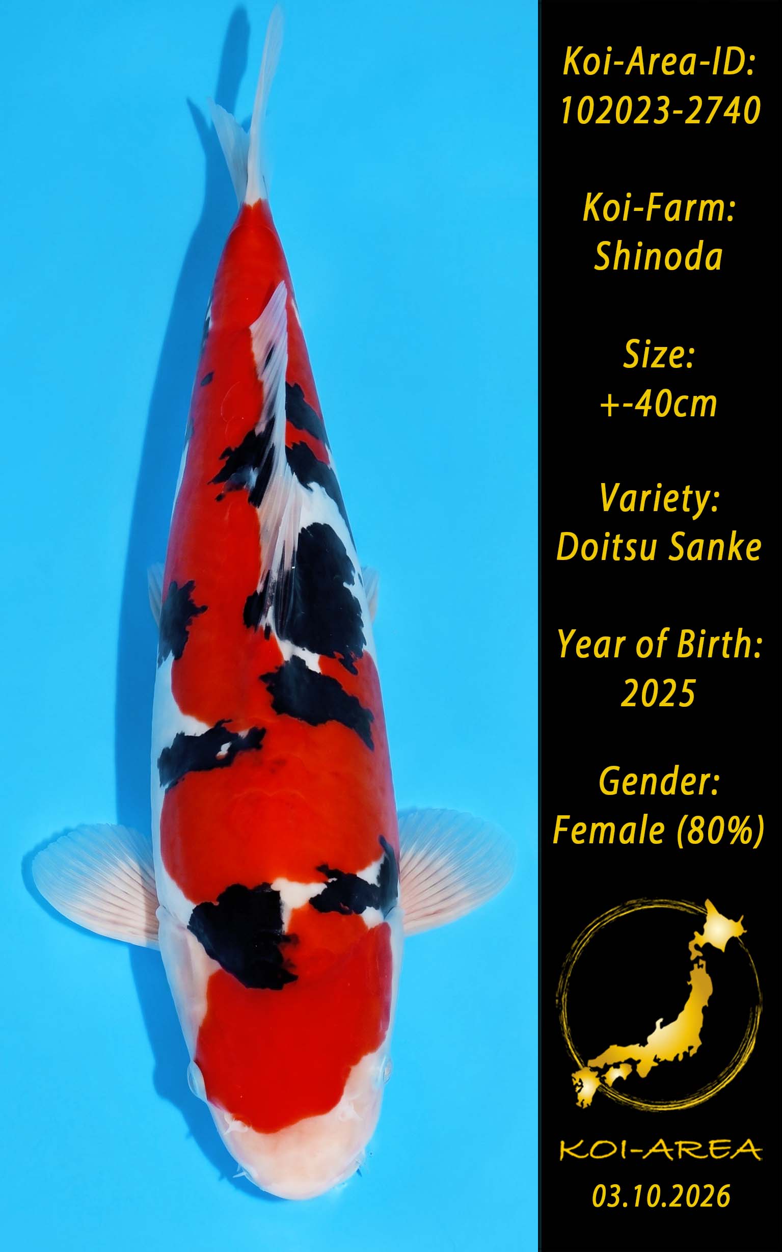 Tateshita 102023-2740