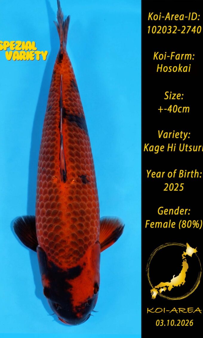 102032-2740