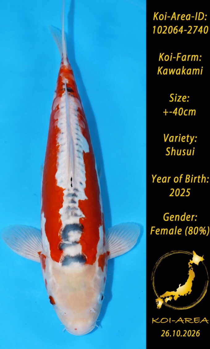Tateshita 102064-2740