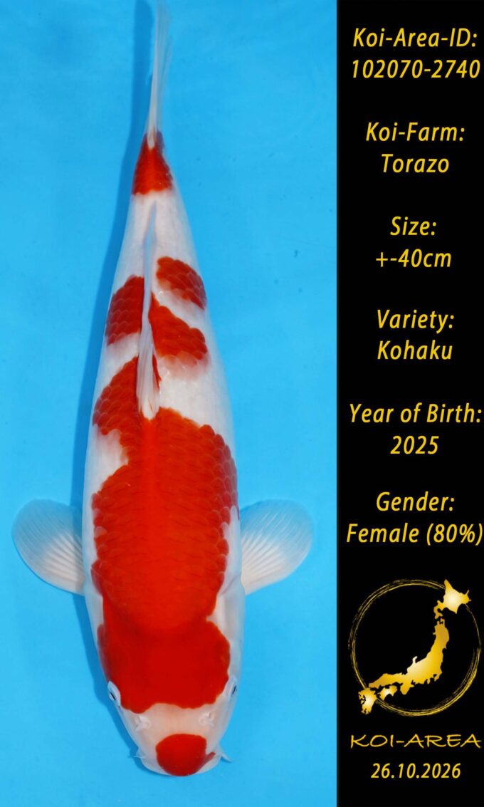 Tateshita 102070-2740