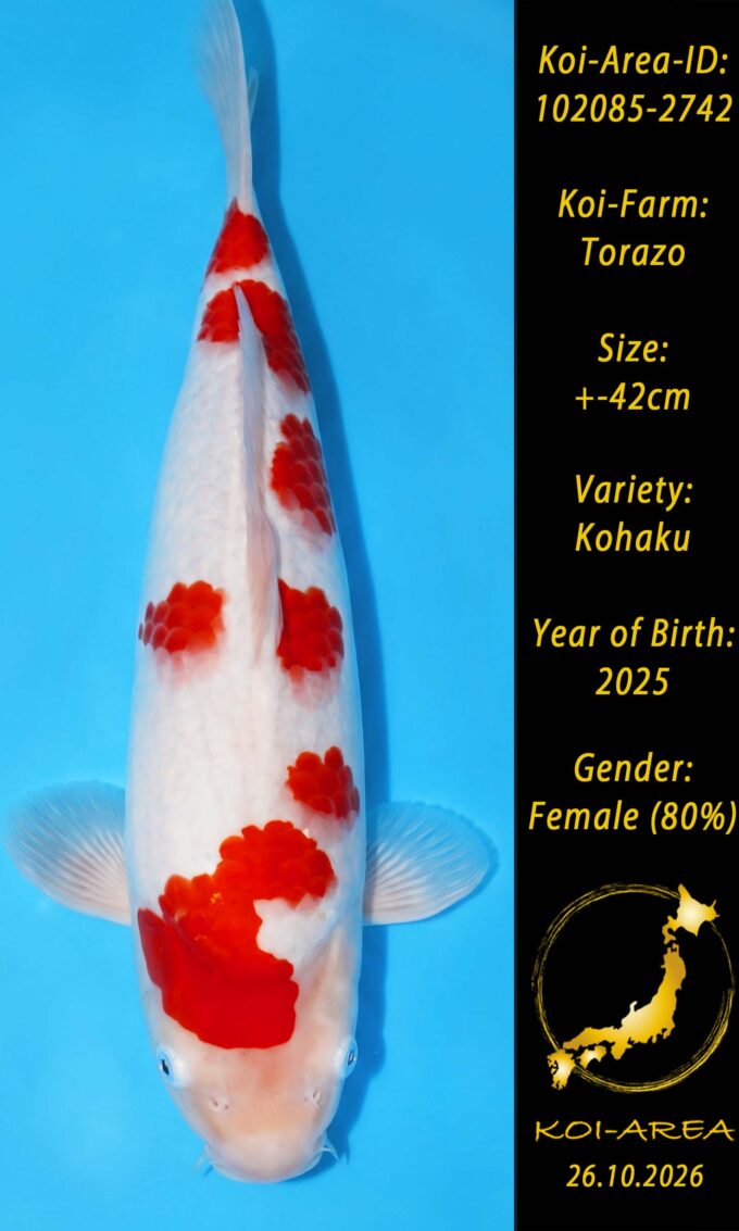 Tateshita 102085-2742