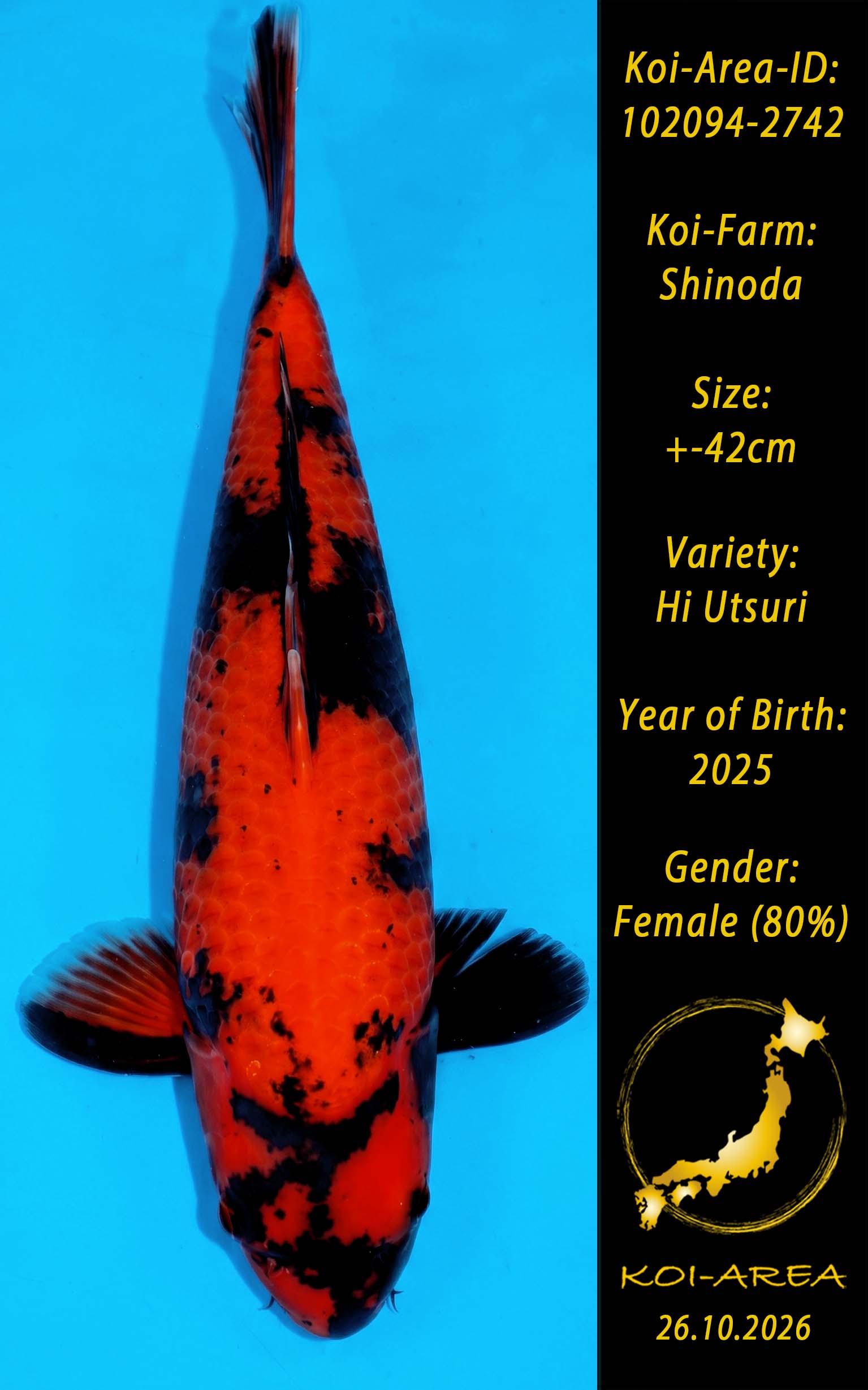 Tateshita 102094-2742