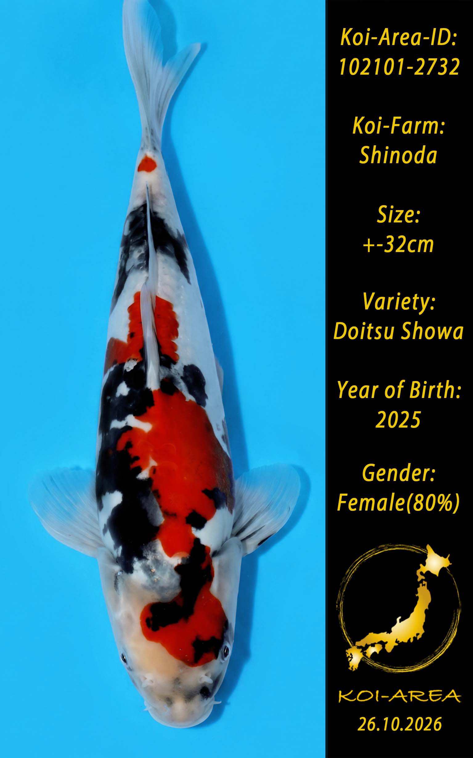 Tateshita 102101-2732